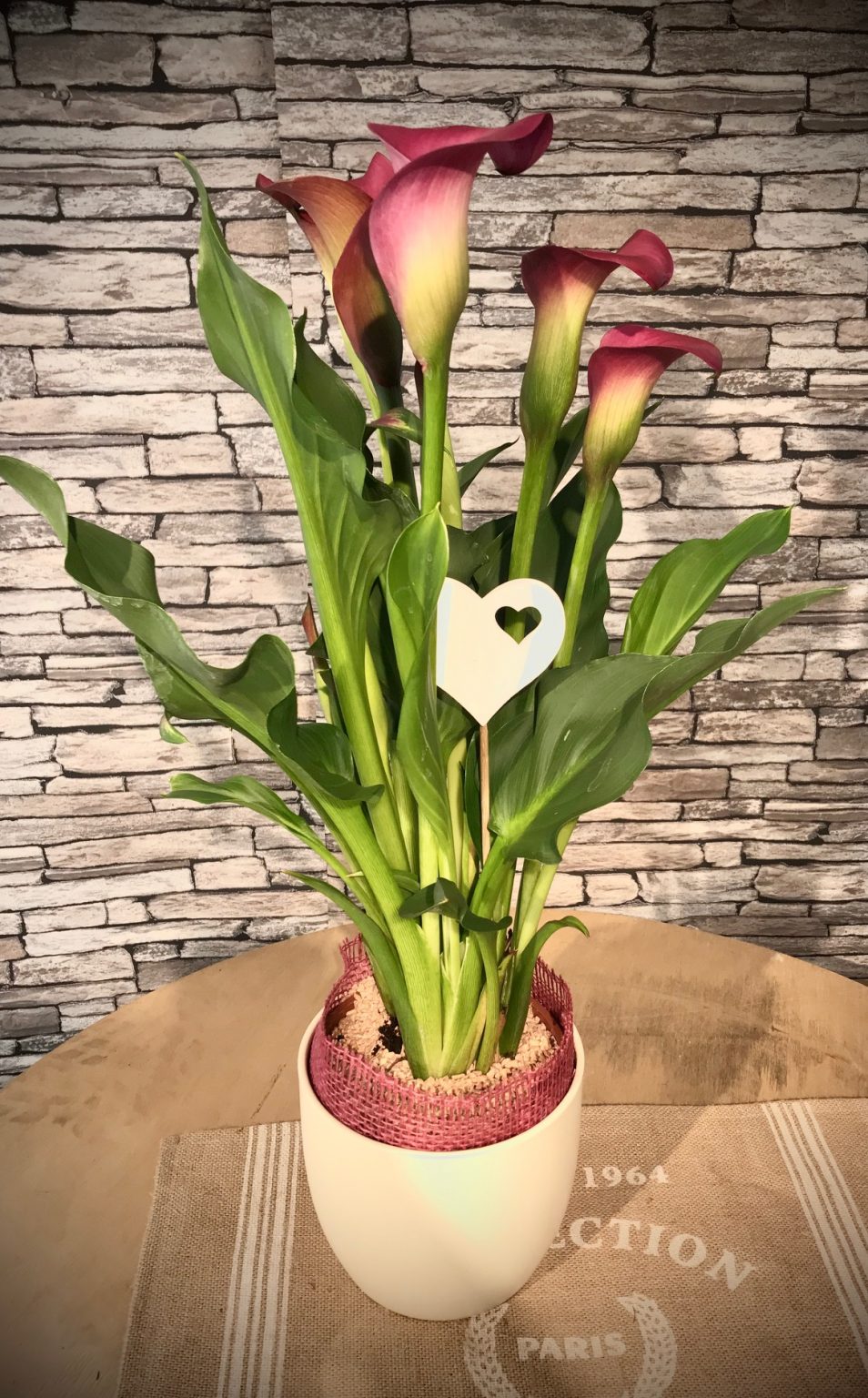 Arum A l'Ô de rose — free download
